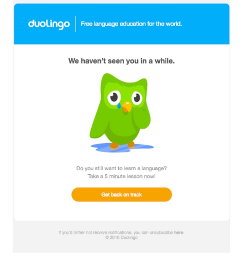 email marketing examples duolingo